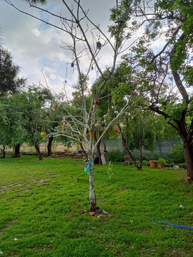 Yesilova  Salda Goelue Koca Kapi Konaklama מראה חיצוני תמונה